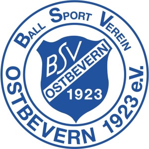 logo bsv
